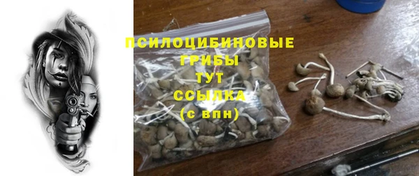 экстази Алексин
